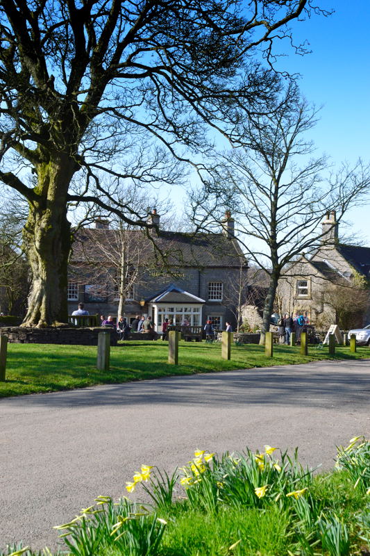 Daffodils on the Village Green at Alstonefield with The George Pub beyond.