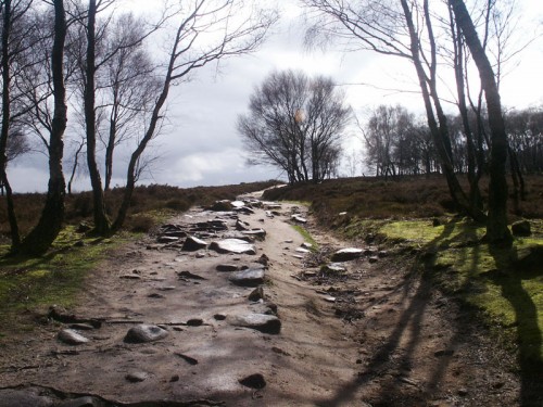 Footpath on Stanton Moor