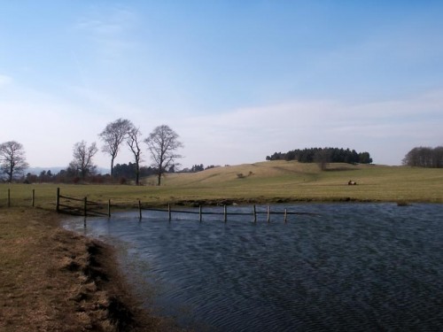 Pond on Calton Pastures