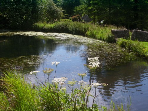 The Duck Pond at Tissington