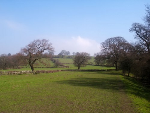 Pasture near Beeley