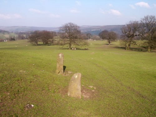 Chatsworth Park looking towards Edensor from below New Piece Wood