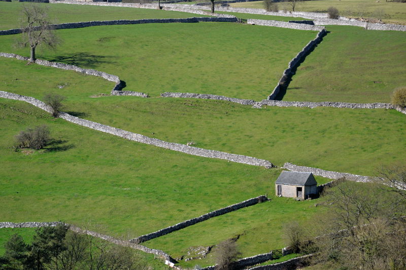 Dry Stone Walls above Milldale