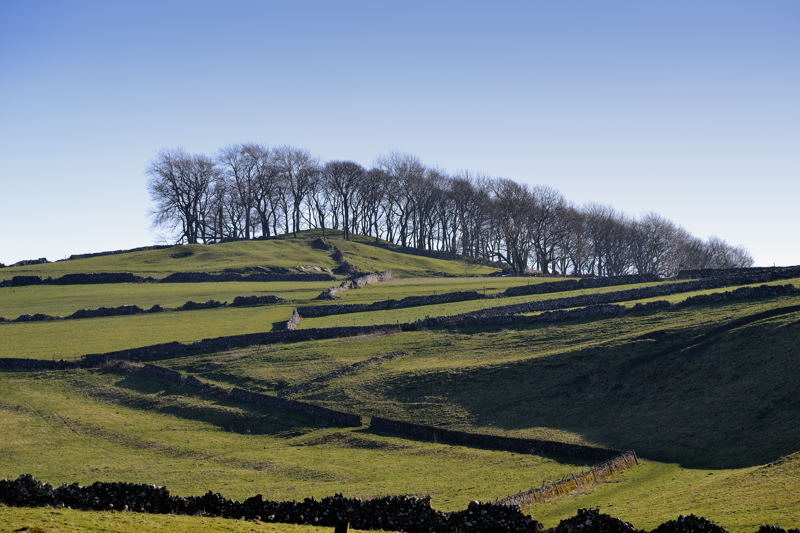 Low Plantation from Narrowdale