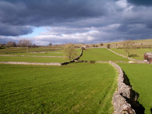 Dry Stone Walls near Priestcliffe