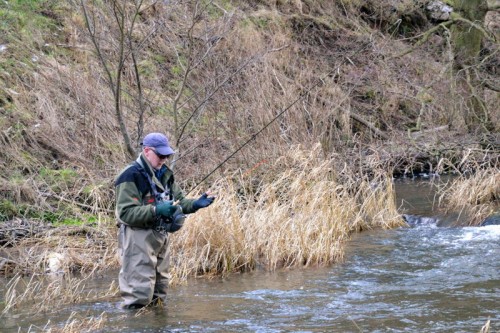 A fly fisherman in the River Dove at Dovedale