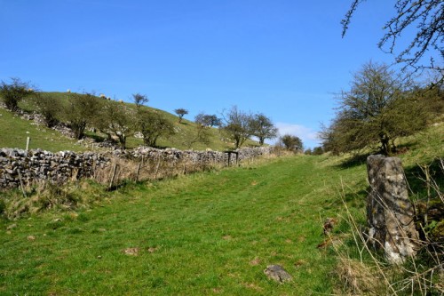 Footpath between Sugarloaf and Summerhill