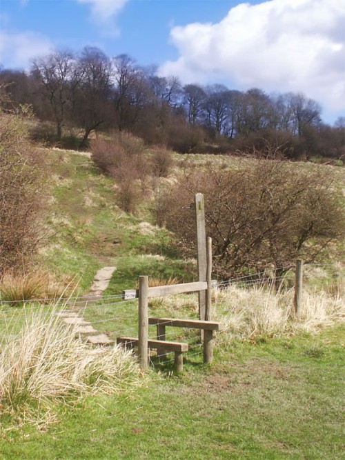 Stile and footpath leading up to Stoop Wood