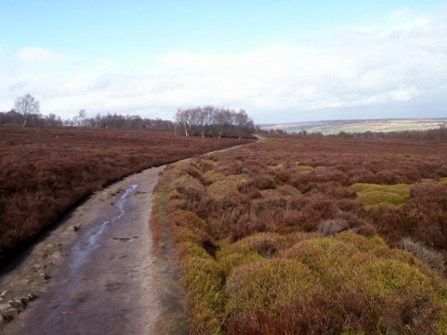 Footpath on Stanton Moor