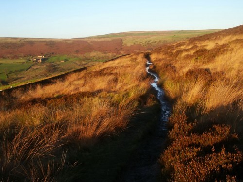 The footpath to Gradbach & Lud's Church leads off the ridge to the east