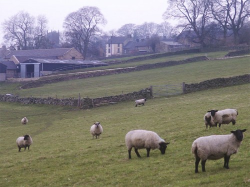 Longnor from the Manifold Trail