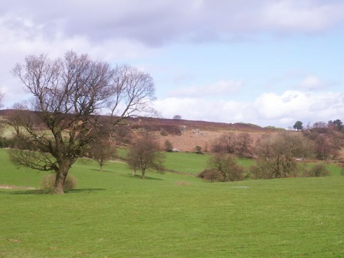 Stanton Moor from Barn Farm