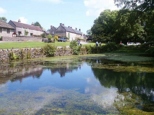 The Duck Pond at Tissington is just of the cycle trail.
