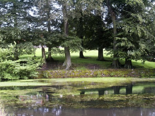 The Duck Pond at Tissington