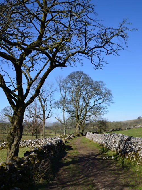 Walled track between Narrowdale and Beresford Dale