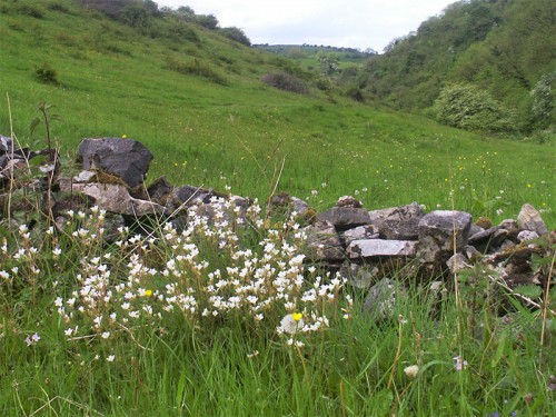 Waterslacks - This area can be very boggy underfoot during wet weather, but there is a path higher up the hillside