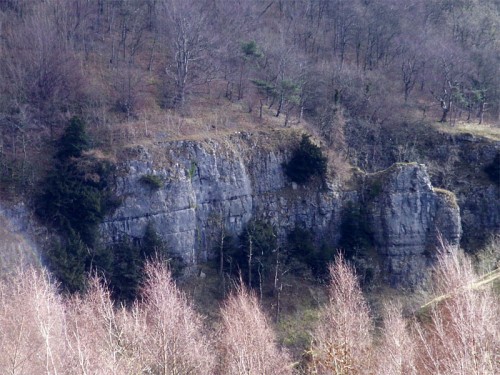 Zooming in on the limestone gorge in Millers Dale