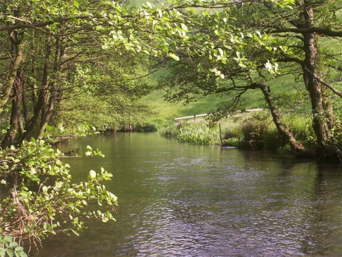 River Dove in Wolfscote Dale below Drabber Tor