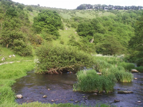 The River Dove near Biggin Dale