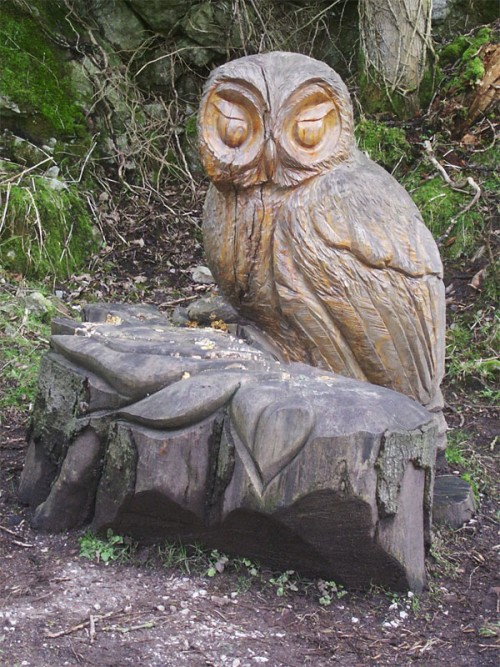 Tawny Owl sculpture by Andrew Frost, one of a number of wood carving in Tideswell Dale