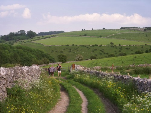 A track rises up from Biggin Dale along the lower slopes of Wolfscote Hill towards Hartington